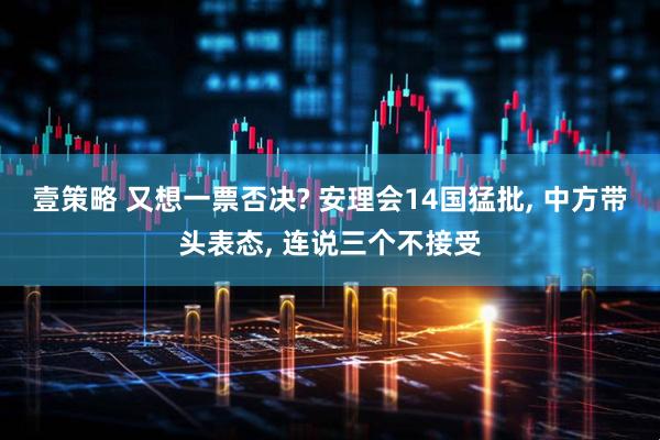 壹策略 又想一票否决? 安理会14国猛批, 中方带头表态, 连说三个不接受